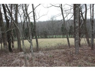Property photo 12 - LAND AUCTION - 138+/- ACRES OFFERED IN 3 TRACTS IN SPENCER COUNTY, INDIANA